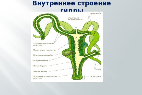 Даркмаркет кракен