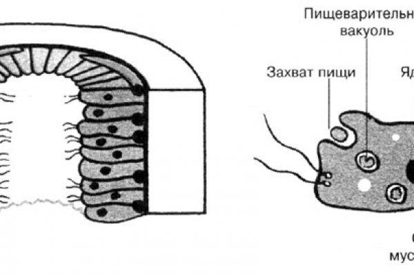 Нарко сайт кракен