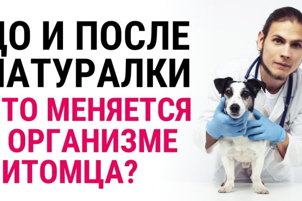 Как зарегистрироваться на сайте кракен